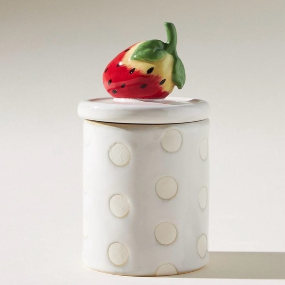 Anthropologie Other - Anthropologie BRAND NEW, Fruta Canister in Red Motif